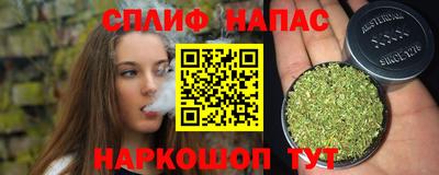 эйфоретик Кингисепп