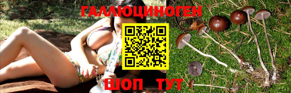 Ялуторовск  Псилоцибиновые грибы ЛСД  Псилоцибиновые грибы Psilocybe  Вход с VPN 