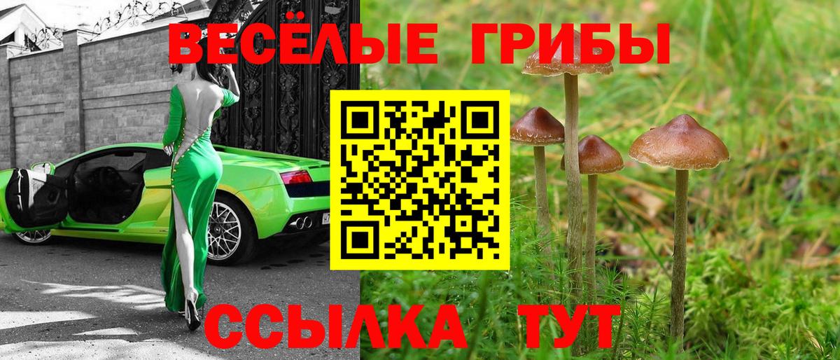 Псилоцибиновые грибы мухоморы Ялуторовск
